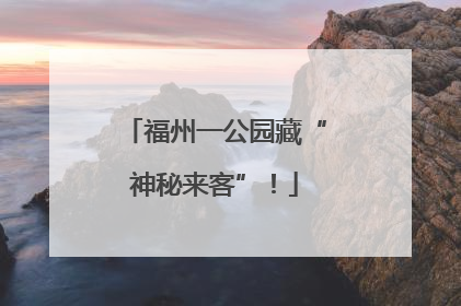 福州一公园藏“神秘来客”！