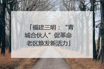 福建三明:“青城合伙人”促革命老区焕发新活力