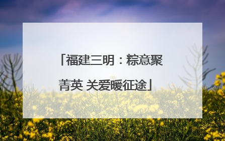 福建三明：粽意聚菁英 关爱暖征途