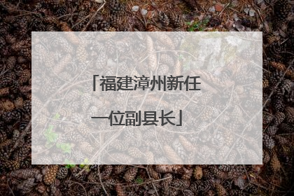 福建漳州新任一位副县长