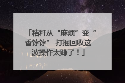 秸秆从“麻烦”变“香饽饽” 打捆回收这波操作太赚了！