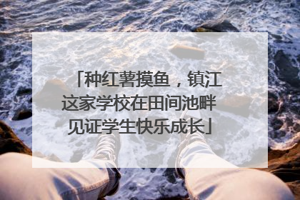 种红薯摸鱼，镇江这家学校在田间池畔见证学生快乐成长