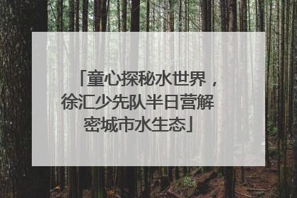 童心探秘水世界，徐汇少先队半日营解密城市水生态
