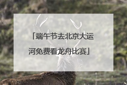 端午节去北京大运河免费看龙舟比赛