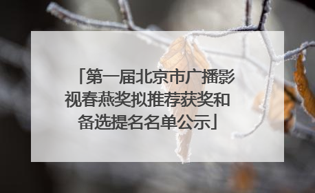 第一届北京市广播影视春燕奖拟推荐获奖和备选提名名单公示