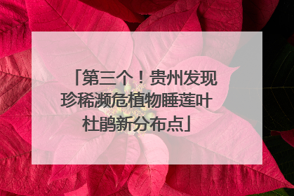 第三个！贵州发现珍稀濒危植物睡莲叶杜鹃新分布点