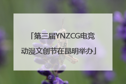 第三届YNZCG电竞动漫文创节在昆明举办