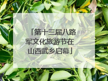 第十三届八路军文化旅游节在山西武乡启幕