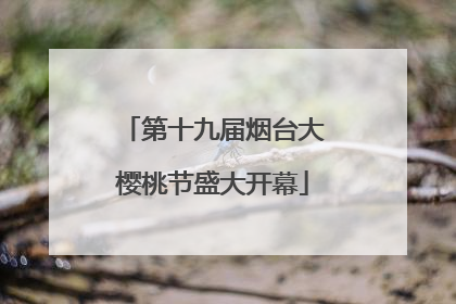 第十九届烟台大樱桃节盛大开幕