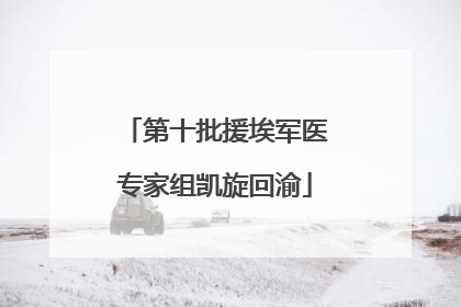 第十批援埃军医专家组凯旋回渝