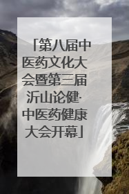 第八届中医药文化大会暨第三届沂山论健·中医药健康大会开幕