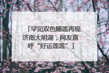 罕见双色睡莲再现济南大明湖，网友直呼“好运莲莲”