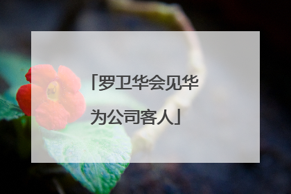 罗卫华会见华为公司客人