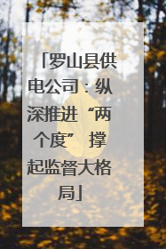 罗山县供电公司：纵深推进“两个度” 撑起监督大格局