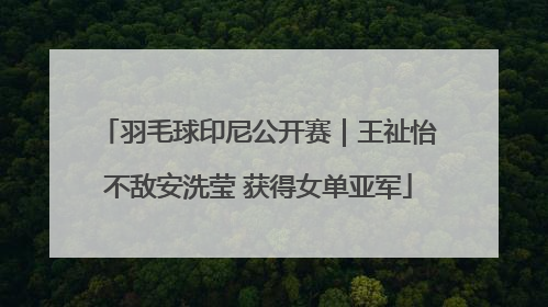 羽毛球印尼公开赛｜王祉怡不敌安洗莹 获得女单亚军