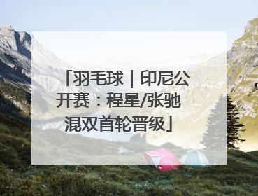 羽毛球｜印尼公开赛：程星/张驰混双首轮晋级