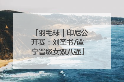 羽毛球｜印尼公开赛：刘圣书/谭宁晋级女双八强