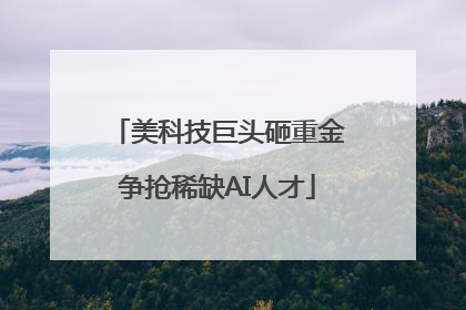 美科技巨头砸重金争抢稀缺AI人才