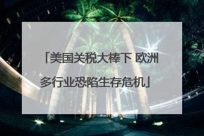 美国关税大棒下 欧洲多行业恐陷生存危机