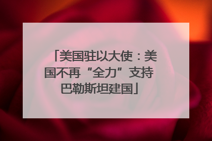 美国驻以大使：美国不再“全力”支持巴勒斯坦建国