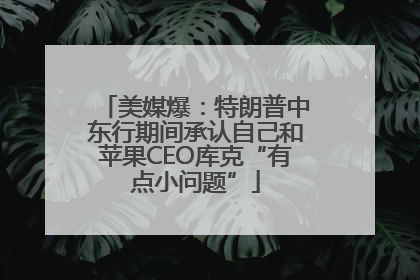 美媒爆：特朗普中东行期间承认自己和苹果CEO库克“有点小问题”