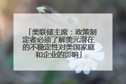 美联储主席：政策制定者必须了解美元潜在的不稳定性对美国家庭和企业的影响