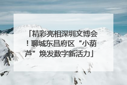 精彩亮相深圳文博会！聊城东昌府区“小葫芦”焕发数字新活力