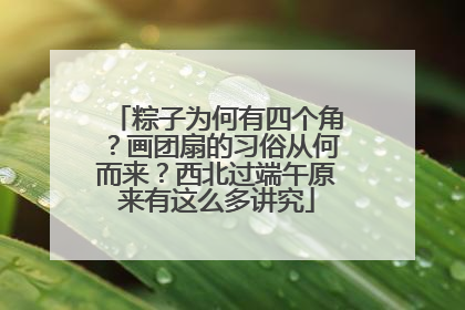 粽子为何有四个角？画团扇的习俗从何而来？西北过端午原来有这么多讲究