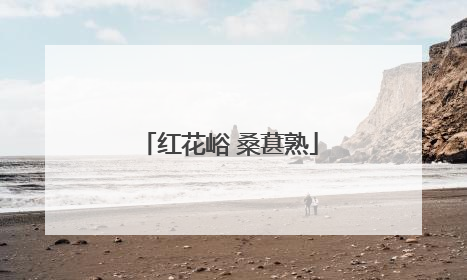 红花峪 桑葚熟