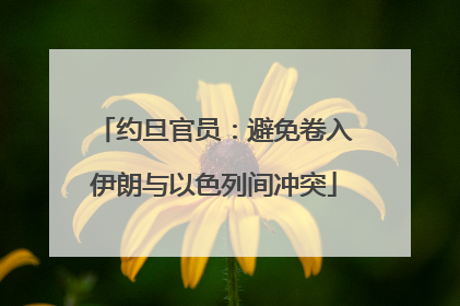 约旦官员：避免卷入伊朗与以色列间冲突