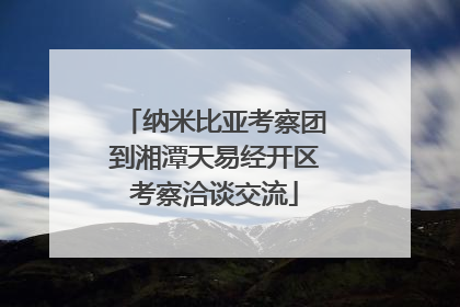 纳米比亚考察团到湘潭天易经开区考察洽谈交流