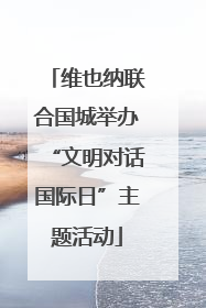 维也纳联合国城举办“文明对话国际日”主题活动