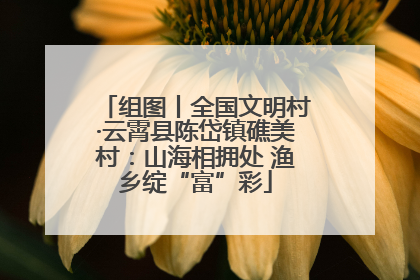 组图丨全国文明村·云霄县陈岱镇礁美村：山海相拥处 渔乡绽“富”彩