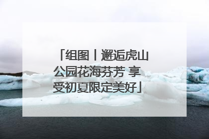 组图丨邂逅虎山公园花海芬芳 享受初夏限定美好