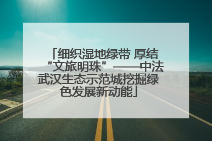 细织湿地绿带 厚结“文旅明珠”——中法武汉生态示范城挖掘绿色发展新动能
