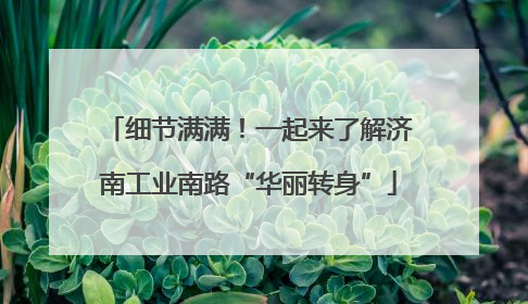 细节满满！一起来了解济南工业南路“华丽转身”