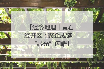 经济地理丨黄石经开区：聚企成链“芯光”闪耀