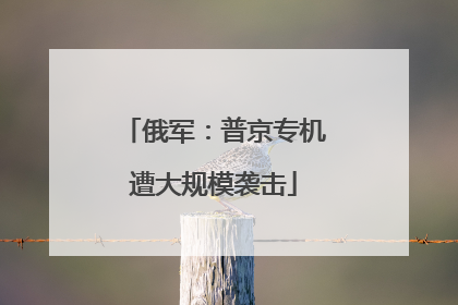 俄军：普京专机遭大规模袭击