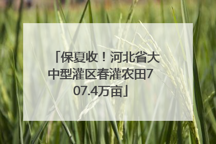 保夏收！河北省大中型灌区春灌农田707.4万亩