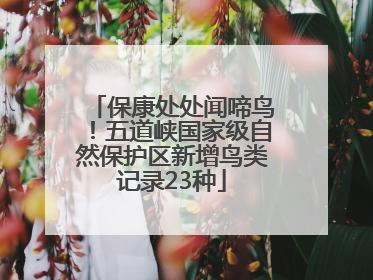 保康处处闻啼鸟！五道峡国家级自然保护区新增鸟类记录23种