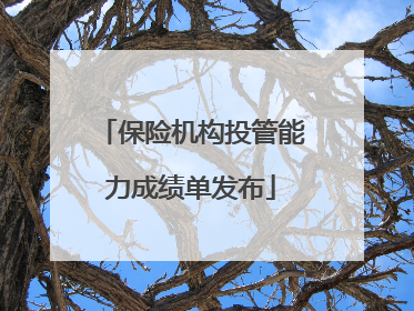 保险机构投管能力成绩单发布