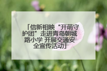 信新相映“开萌守护团”走进青岛朝城路小学 开展交通安全宣传活动