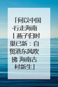 何以中国·行走海南丨燕子归时巢已新：自贸港东风吹拂 海南古村新生