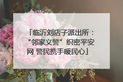临沂刘店子派出所：“邻家义警”织密平安网 警民携手暖民心