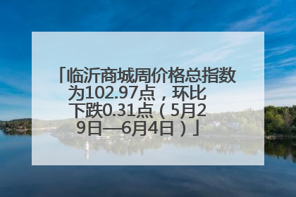 临沂商城周价格总指数为102.97点，环比下跌0.31点（5月29日—6月4日）