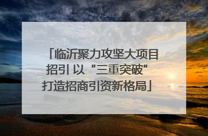 临沂聚力攻坚大项目招引 以“三重突破”打造招商引资新格局