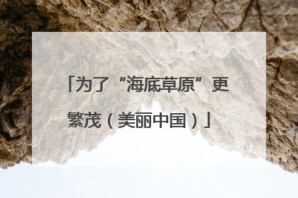 为了“海底草原”更繁茂（美丽中国）
