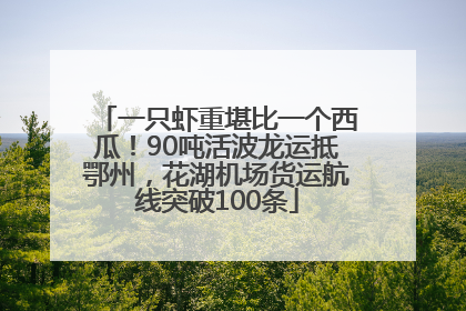 一只虾重堪比一个西瓜！90吨活波龙运抵鄂州，花湖机场货运航线突破100条