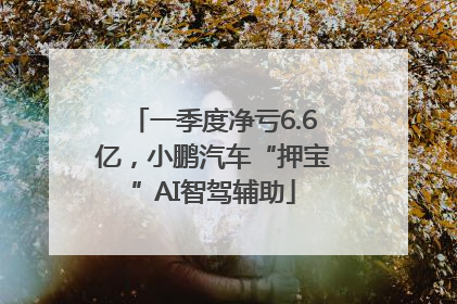 一季度净亏6.6亿，小鹏汽车“押宝”AI智驾辅助