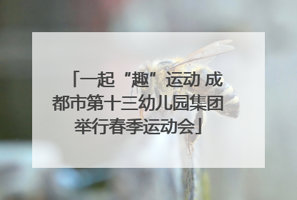 一起“趣”运动 成都市第十三幼儿园集团举行春季运动会